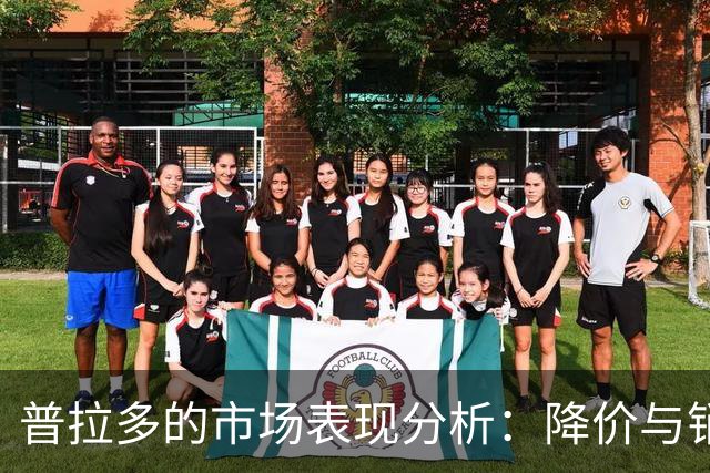 普拉多的市场表现分析：降价与销量的双重挑战